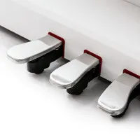 Pierre Cesar DP-500-H-WH Фортепиано цифровое, 88 клавиш Pierre Cesar DP-500-H-WH Фортепиано цифровое, 88 клавиш