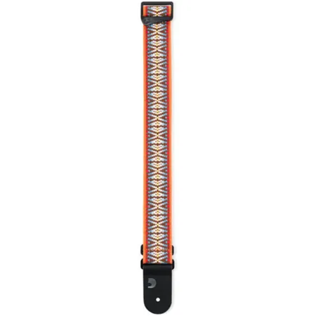 Planet Waves 50G08