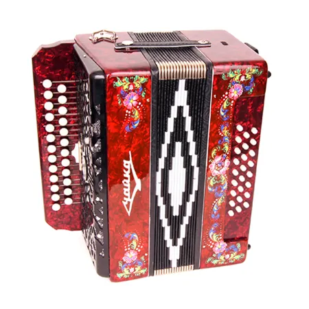 Шуйская гармонь S5XL Гармонь "Чайка-314" двухрядная 25х25-III-2