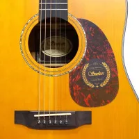 Suolun GT-1D TAG N Гитара трансакустическая 41" Dreadnought, цвет натуральный, с чехлом в комплекте