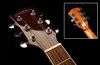 Oriental Cherry W-500S-40