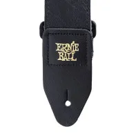 Ernie Ball 4134