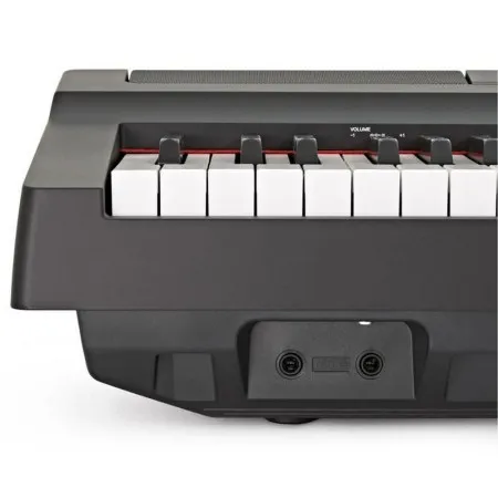 YAMAHA P-125B
