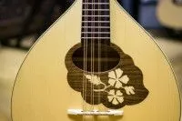 Hora M1085BAG Мандолина португальская с чехлом