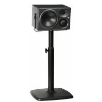 Neumann KH310 ARG Монитор студийный активный  трехполосный , правый