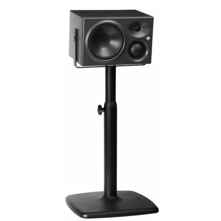 Neumann KH310 ARG Монитор студийный активный  трехполосный , правый
