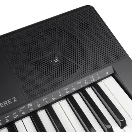 ROCKDALE Premiere 2 Lights Синтезатор с автоаккомпанементом и подсветкой клавиш