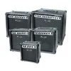 LEEM S15G Комбоусилитель гитарный 15Вт