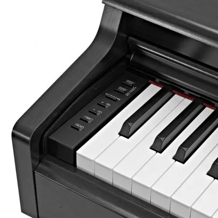 YAMAHA YDP-164B