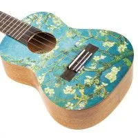 TOM VGA-C2 Укулеле концерт с чехлом и комплектом аксессуаров, рисунок Ван Гог