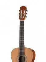 Kremona S58C Sofia Soloist Series