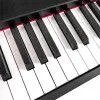 SOLISTA DP125BK Фортепиано цифровое, 88 клавиш, MP3, Bluetooth, цвет чёрный
