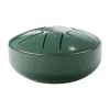 Foix FTD-386C-FG Глюкофон, 9.6см, До мажор, зеленый