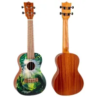 Flight AUC-33 Jungle2