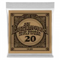Ernie Ball .020