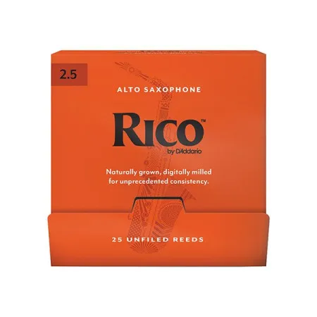 Rico RJA0125-B25