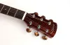 Oriental Cherry W-XS5