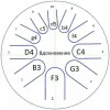 Фимбо 1-28 Фимбо Вдохновение