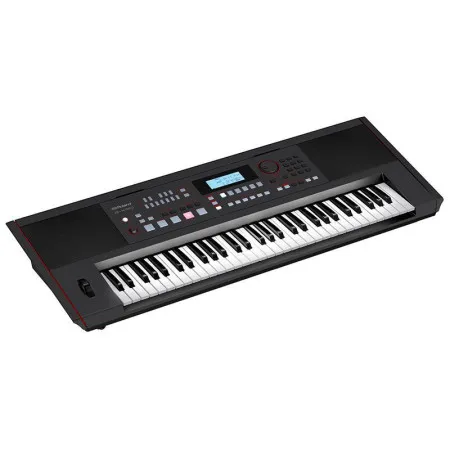 Roland E-X50 Синтезатор с автоаккомпанементом, 61 клавиша