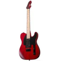 ESP LTD TE-200 MSTBC Электрогитара 6-струнная, цвет вишневый ESP LTD TE-200 MSTBC Электрогитара 6-струнная, цвет вишневый