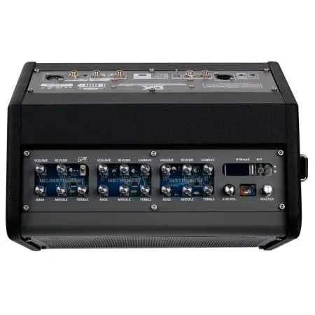 DK iC-100 Комбоусилитель для акустической гитары, 100Вт, портативный