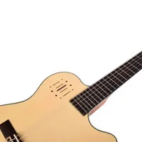 Tayste TS-CG100-N Электроакустическая классическая , 4/4, цвет натуральный