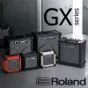 Комбоусилитель Roland Cube-10GX