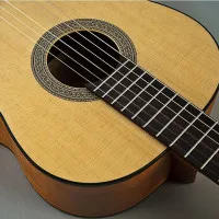 Гитара классическая CORT AC10 NS