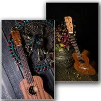 Укулеле Flight NUT 310 + чехол