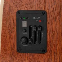 Parkwood W81E-WBAG-OP Гитара электроакустическая, цвет натуральный, с чехлом