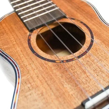 TOM TUS-200L