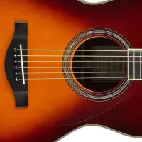 LSTABROWNSB 5 LSTABROWNSB 5