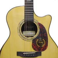 Suolun S-400GAC TAG N Гитара трансакустическая 41" Grand Auditorium, цвет натуральный, с чехлом