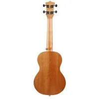 Enya EUS-25D Укулеле Сопрано с фирменным чехлом в комплекте