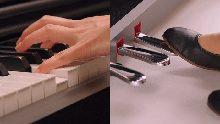 YAMAHA YDP-145R.png 442.png