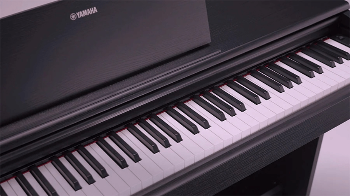 YAMAHA YDP-145R.png 443.png