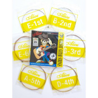Solista SGF-10SB-Set Гитара акустическая Folk в комплекте