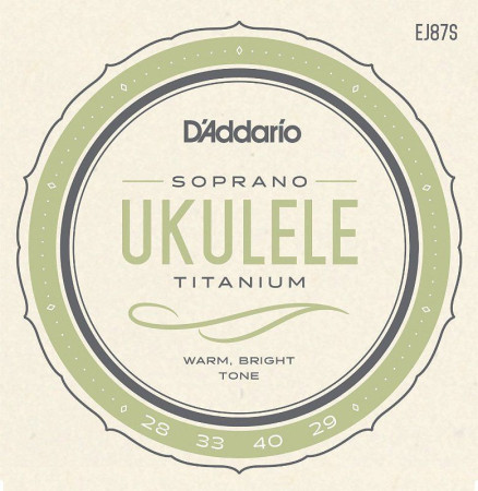 D'Addario EJ87S