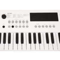 SOLISTA SK49WH Синтезатор 49 клавиш, цвет белый