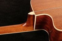 Oriental Cherry W-500S-41