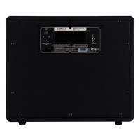 Mooer DH06 Hornet 30BK