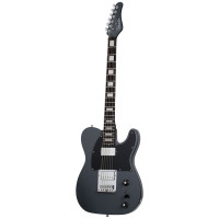 SCHECTER PT EX DG Электрогитара баритон, 6 струн, цвет Dorian Gray