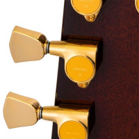 ARIA PE-F80 BKTP Электрогитара 6 струн, корпус Les Paul, цвет черный