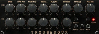 IBANEZ T80II TROUBADOUR Комбоусилитель для акустической гитары