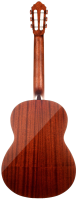 Cort AC100DX YT