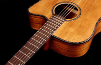 Oriental Cherry W-300-41