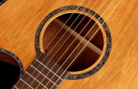 Oriental Cherry W-300-41