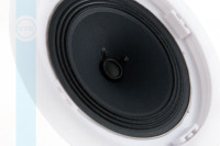 Громкоговоритель CVGaudio CPA5T