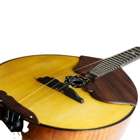 РФМИ ДМ3МКч Домра Малая 3-струнная (Концертная, сольная, мастеровая), чехол в комплекте