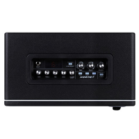 Mooer DH06 Hornet 30BK